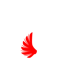 szewbaka's emblem