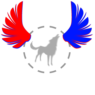 Pm9 Merkzz's emblem