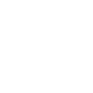 ArticVoidz's emblem