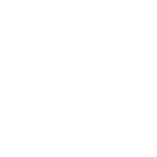 RaymerMaks's emblem