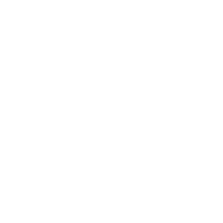 BkOs ZeYnoX's emblem