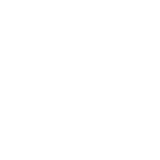 VASYARUNNN's emblem