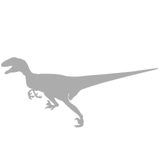Raptorrlz's emblem