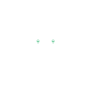 vTurtleDuck's emblem