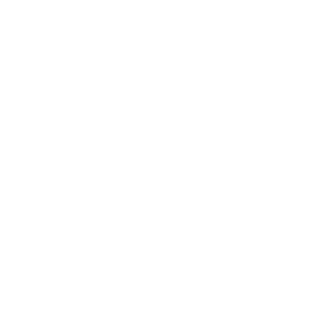 The_0SaltySniper's emblem