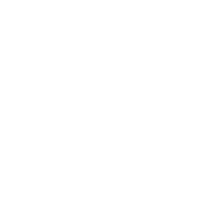 PigeonSilver's emblem