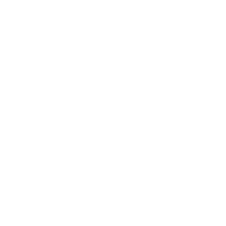 RaphaelBadBR's emblem