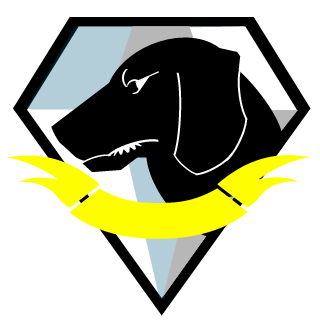 K0S10R's emblem