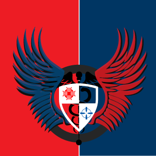 Painkiller5577's emblem