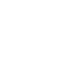 977ba48e16806045's emblem