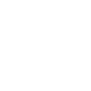 DamienBreug's emblem