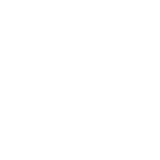 Chrocsichrocs's emblem