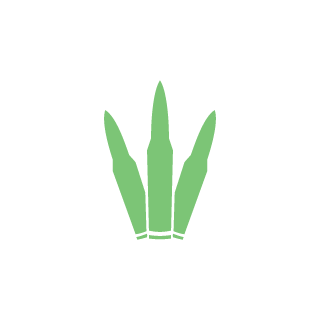 CarrotBox1's emblem
