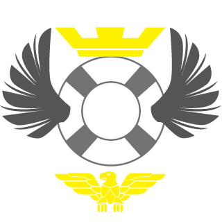 DP DANYZINNN's emblem