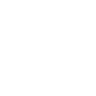 ce8e3b3fc5c8061f's emblem