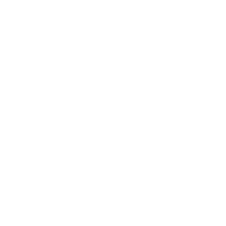 BlinkesStefaans's emblem