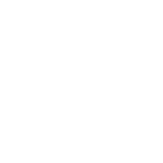 LoonyLiberator's emblem