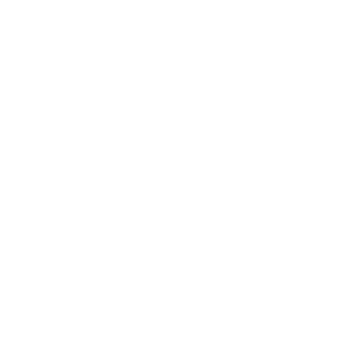 -Zic-ru's emblem