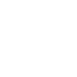 MF_Marcus_Fenix's emblem