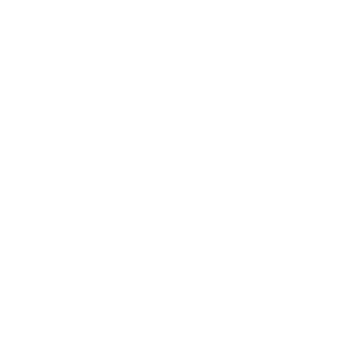 11TheHazard11's emblem