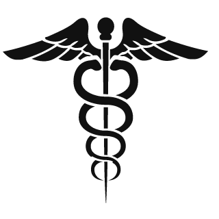 BRASILNKS's emblem