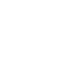 IIIILeoIIII's emblem
