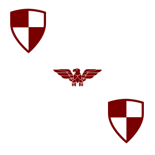 CptRaptor's emblem