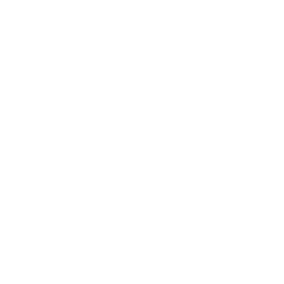 FritzyNGG's emblem