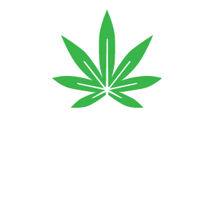 DDoS-AttAck's emblem