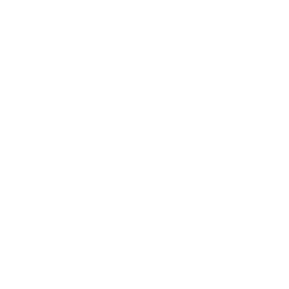 Neonencryption's emblem