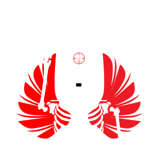 guigoncalvess's emblem