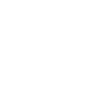 PupirkaPrime's emblem