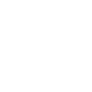 Durdyn_FR's emblem