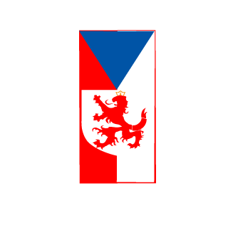 Kiiiwii157's emblem