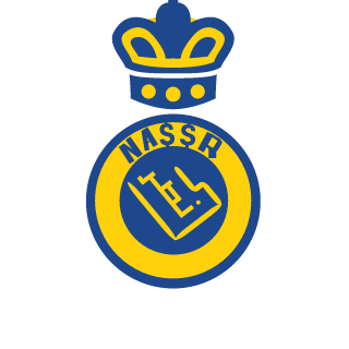iinfnf's emblem