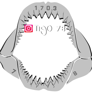 Tigo178's emblem