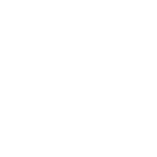 MK20MG's emblem