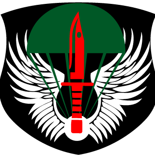 0_Nashi_0's emblem