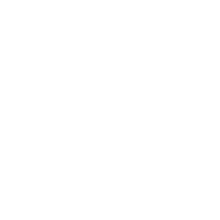BoyZ-SuIu's emblem