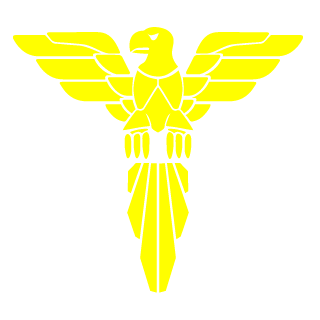 iAim2Shoot's emblem