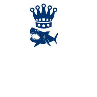 N1nja331's emblem