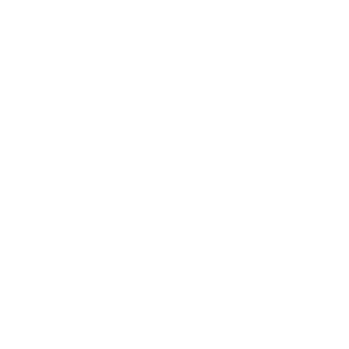 TheBroBro's emblem