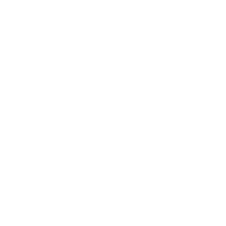 PsychoFIip's emblem