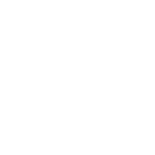 CrzyDC29's emblem