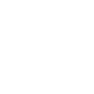 schutzzstafffe's emblem