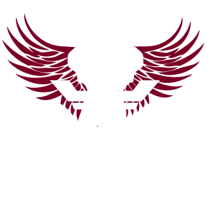 Kareivis7's emblem