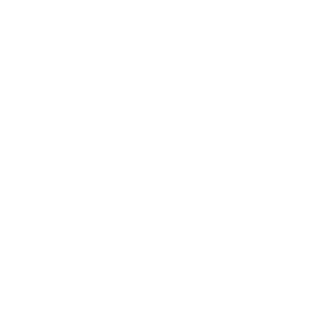 Anaquim's emblem