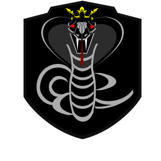 NS-LordDiniz's emblem