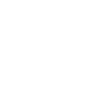 Ariy86's emblem