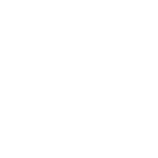 1niceTyp's emblem